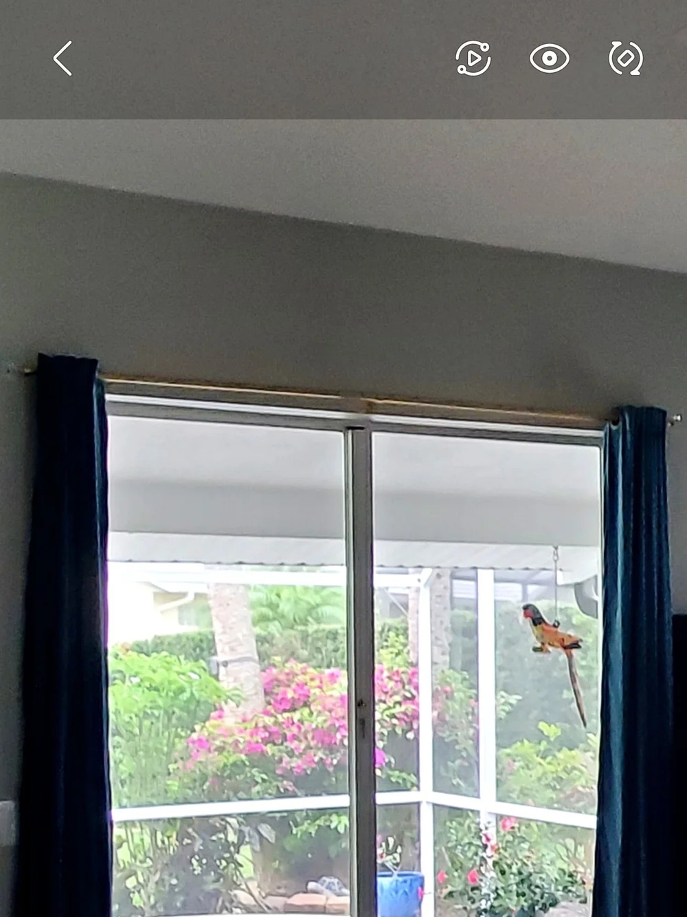 6 Luxurious Velvet Grommet Curtain Panels.  Like New.  Room Darkening.